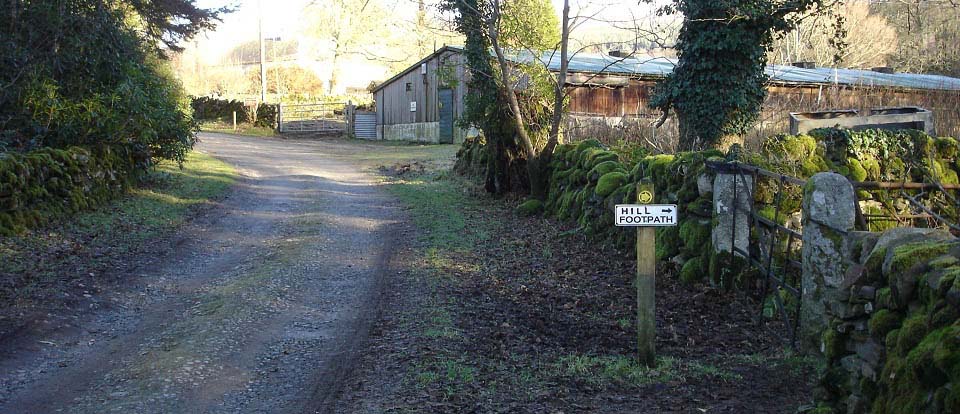 Cairnsmore of Fleet woodland path image