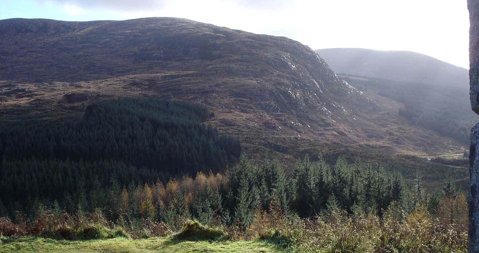 Murrays Monumet view to Craignelder hill image