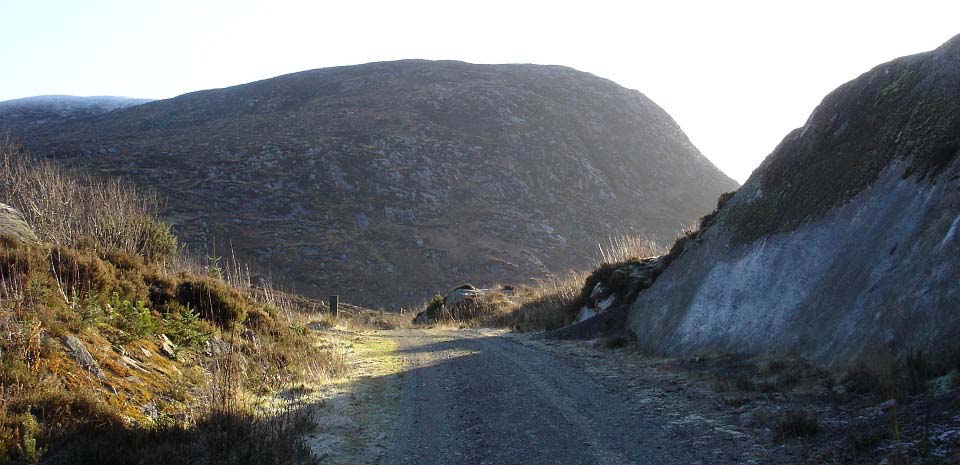 Forest road to Craignelder image