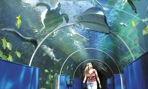 Bournemouth Oceanarium image