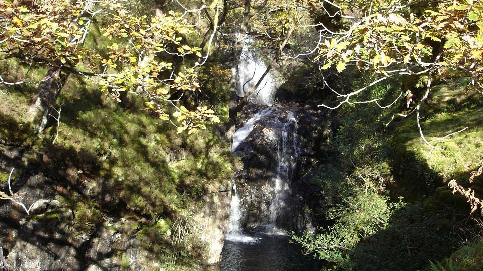 Buchan Waterfalls Glentrool image