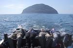 Ailsa Craig from MV Glorious